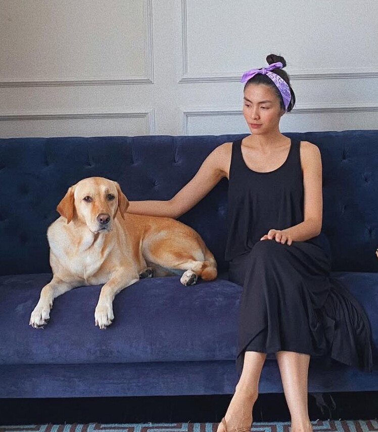 Tăng Thanh Hà thông báo chú chó Molly đã mất.