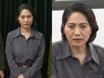 Khởi tố giám đốc công ty tổ chức chương trình "Về đây bốn cánh chim trời"