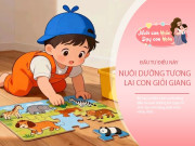 Nuôi con IQ EQ - Buông để con lớn: Bố mẹ ít can thiệp vào 5 điều này, trẻ càng tự lập và xuất sắc