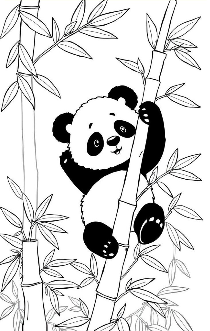 Tranh tô màu gấu trúc cho bé mầm non, người bạn hiền lành trong thế giới tuổi thơ - 6