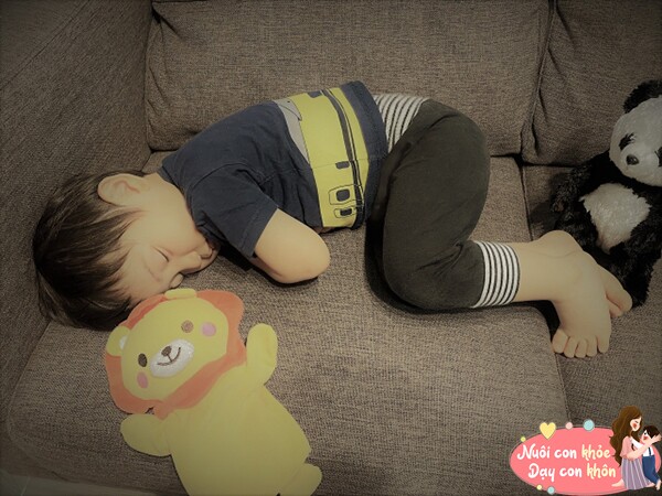 Tư thế ngủ cuộn tròn.