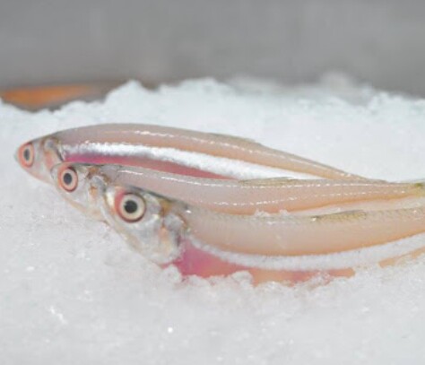 Loại cá ở quê amp;#34;tốt hơn cá hồiamp;#34;, giá chỉ vài chục nghìn/kg thành đặc sản ở thành phố, giàu canxi và omega-3 mẹ bầu đừng bỏ qua! - 4