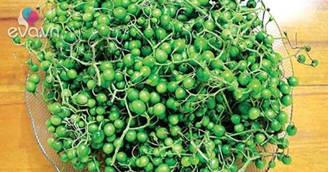Loại quả xưa chín rụng chỉ dành cho người nghèo, nay thành đặc sản nổi ...
