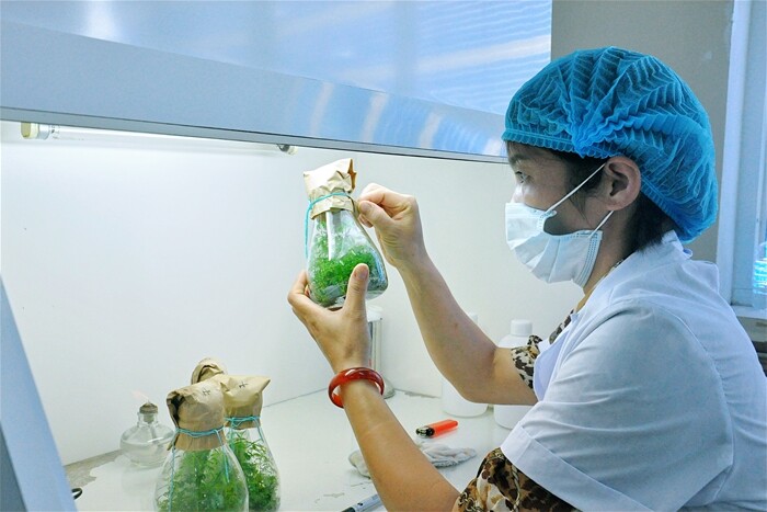 5 ngành học ở Việt Nam không sợ thất nghiệp, amp;#34;khátamp;#34; nhân lực trong những năm tới, ra trường nhận lương hậu hĩnh - 4