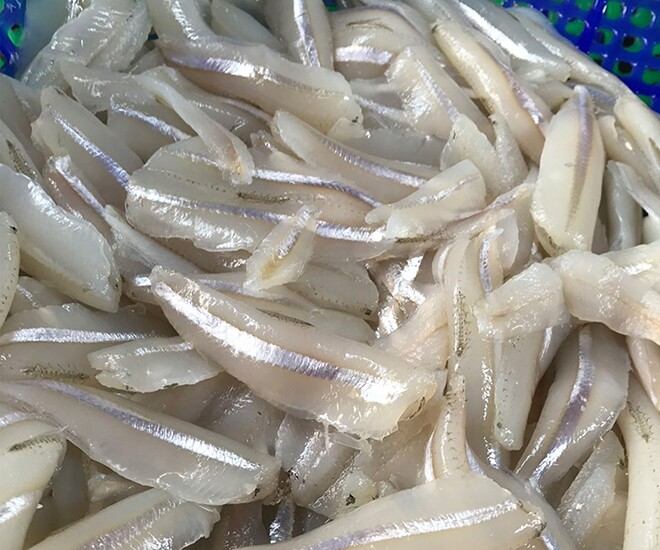 Loại cá ở quê amp;#34;tốt hơn cá hồiamp;#34;, giá chỉ vài chục nghìn/kg thành đặc sản ở thành phố, giàu canxi và omega-3 mẹ bầu đừng bỏ qua! - 1