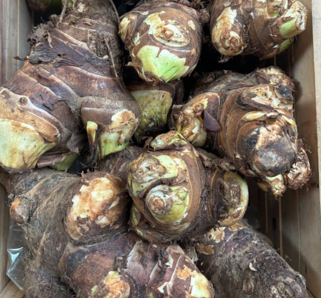 amp;#34;Báu vật dưới lòng đấtamp;#34; xưa là món ăn của người nghèo, nay thành đặc sản nổi tiếng, tốt cho sức khỏe - 4