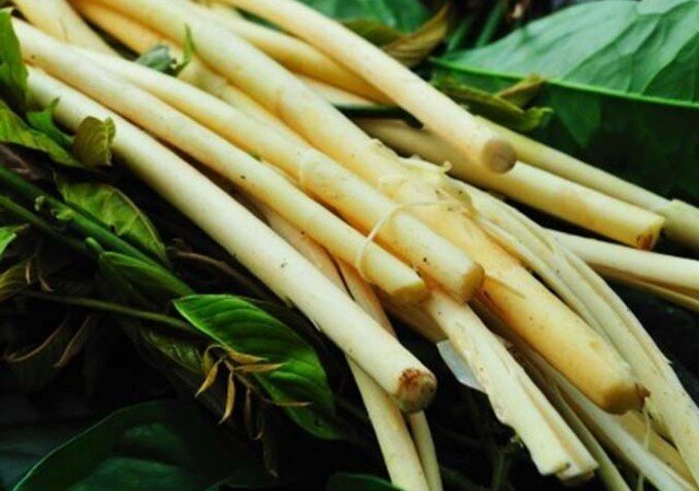 Cây dại leo bờ rào xưa dành cho amp;#34;người nghèoamp;#34;, nay thành đặc sản có hương vị lạ trong nhà hàng được ưa chuộng, 100.000 đồng/kg - 4