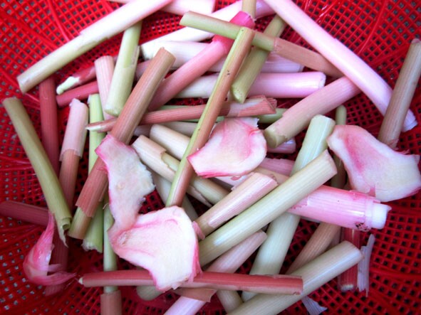 Cây dại mọc bờ bụi xưa dành cho amp;#34;người nghèoamp;#34;, nay thành đặc sản có hương vị đặc biệt được ưa chuộng, 70.000 đồng/kg - 2