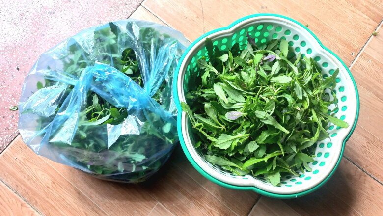 Xưa mọc bờ mương dành cho amp;#34;người nghèoamp;#34;, nay rau dại lên đời thành đặc sản vì hương vị lạ, 45.000 đồng/kg - 3