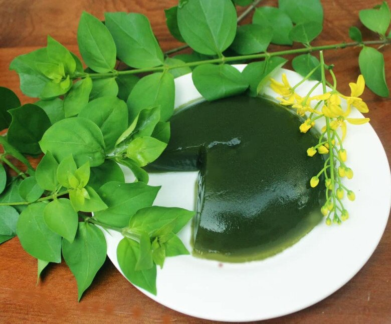 Cây dại mọc bờ rào xưa không ai ngó ngàng, nay thành đặc sản được ưa chuộng giá 150.000 đồng/kg, tốt cho sức khoẻ - 4