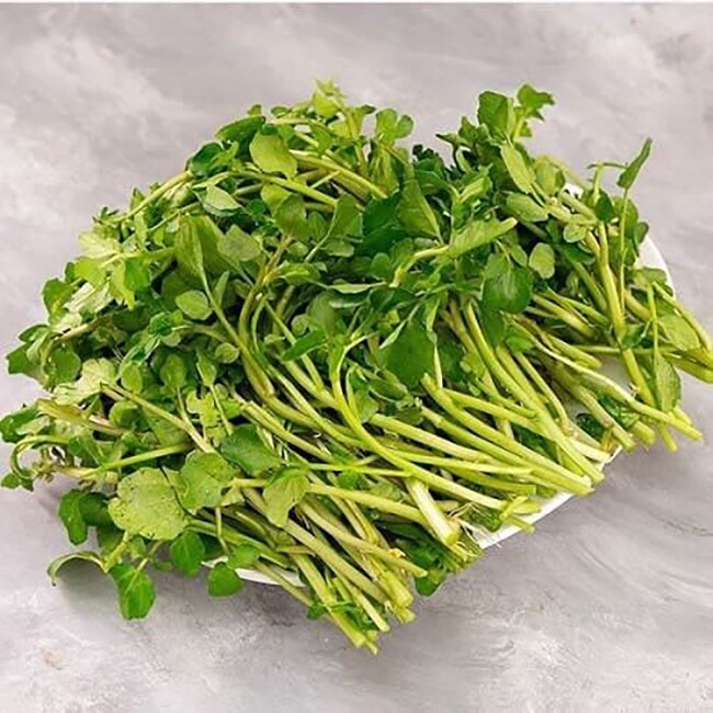 Cây rau được đánh giá amp;#34;tốt nhất thế giớiamp;#34;, Việt Nam trồng bạt ngàn 45 ngày thu hoạch, thành đặc sản 40.000 đồng/kg - 3