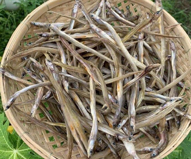 Đặc sản có tên vô cùng lạ, xưa không ai ngó ngàng nay được ưa chuộng, phơi khô bán 200.000 đồng/kg nổi tiếng khắp nơi - 1