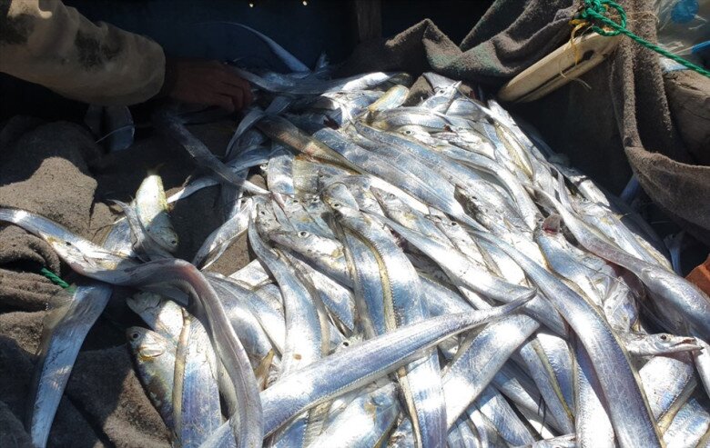 Đặc sản mỗi năm chỉ có một mùa, xưa giá rẻ như cho nay phơi khô bán 300.000 đồng/kg làm đủ món ngon, canxi cao gấp 4 lần sữa bò - 2