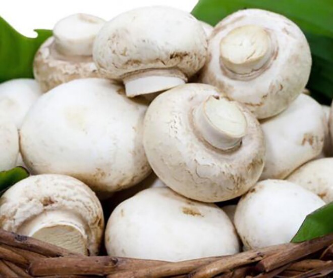 Đặc sản nhà nghèo amp;#34;ngon hơn rau, bổ hơn thịtamp;#34;, nay làm thành đủ món ăn ngon giá 150.000 đồng/kg, tốt cho sức khỏe - 1