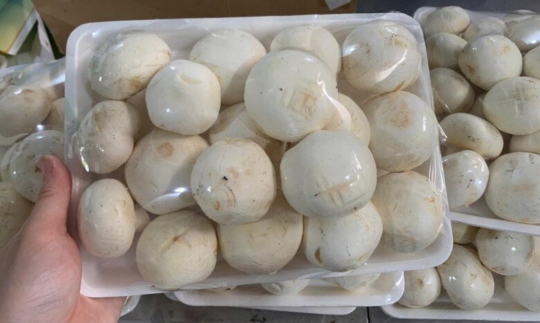 Đặc sản nhà nghèo amp;#34;ngon hơn rau, bổ hơn thịtamp;#34;, nay làm thành đủ món ăn ngon giá 150.000 đồng/kg, tốt cho sức khỏe - 5