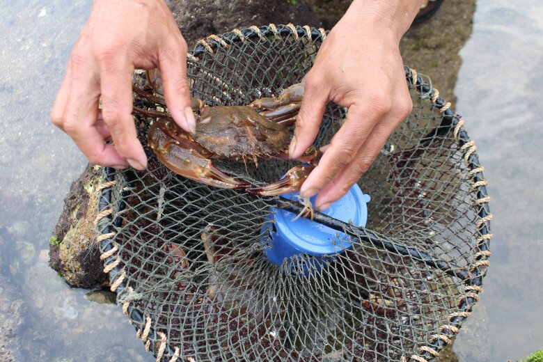 Nguồn ảnh: Báo Nghệ An