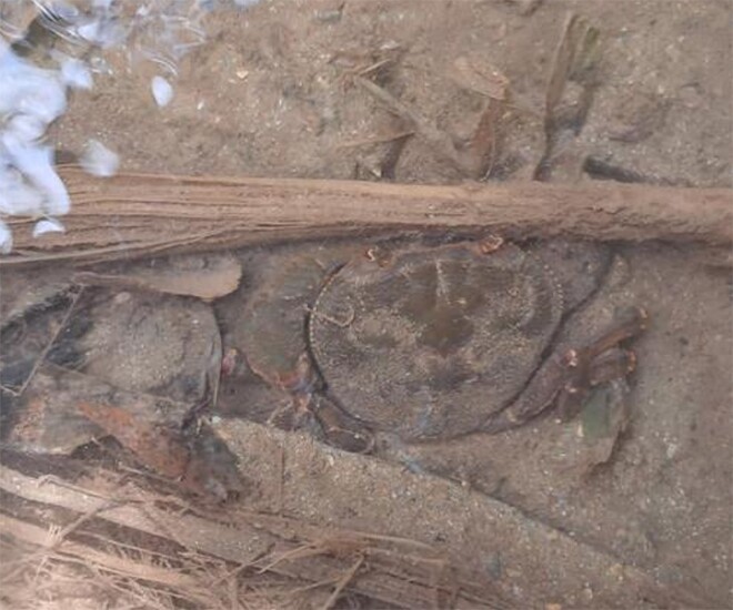 Nguồn ảnh: Truyền hình Nghệ An