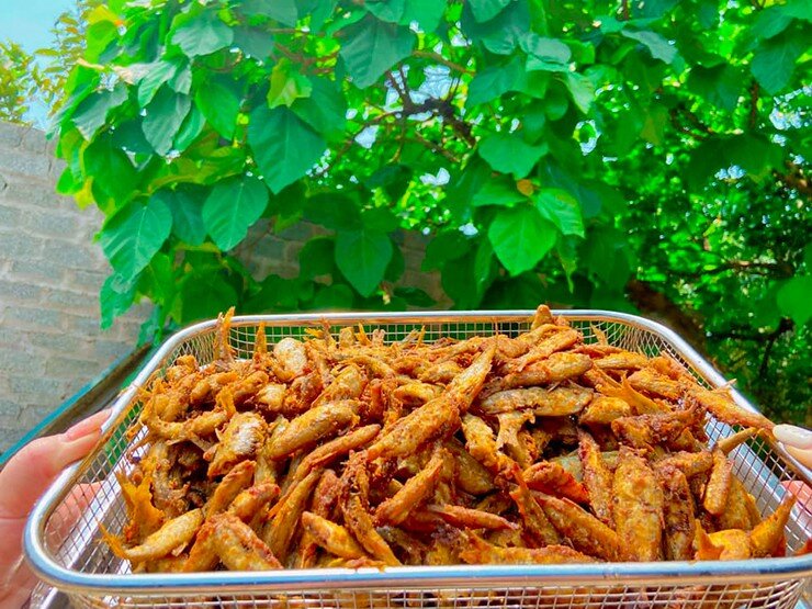 Từ cá lẹp có thể làm thành nhiều món ăn ngon và bổ dưỡng