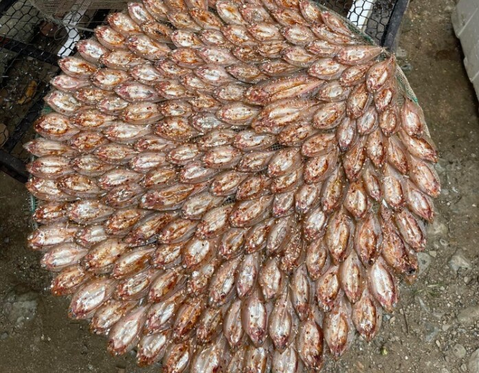 Đặc sản xưa dành cho amp;#34;người nghèoamp;#34;, nay phơi khô bán 300.000 đồng/kg, người thành phố ưa chuộng vì hương vị lạ - 3