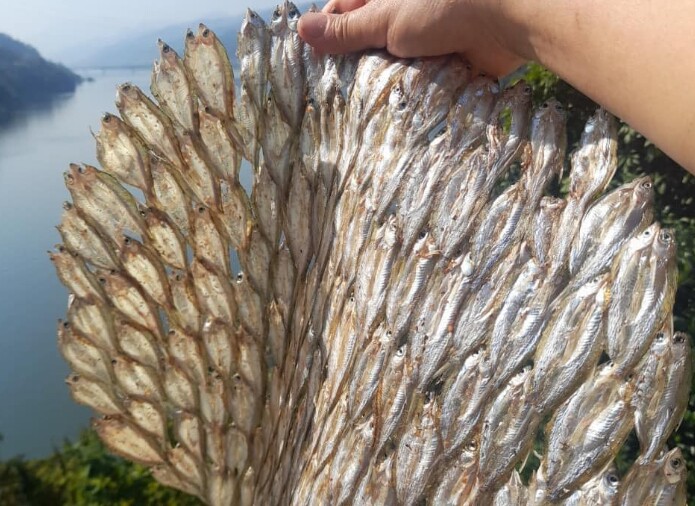 Đặc sản xưa dành cho amp;#34;người nghèoamp;#34;, nay phơi khô bán 300.000 đồng/kg, người thành phố ưa chuộng vì hương vị lạ - 4