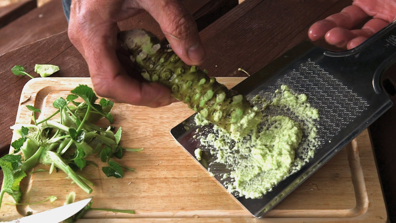 Củ wasabi đạt chất lượng ngon nhất khi thu hoạch ở độ tuổi 15–18 tháng