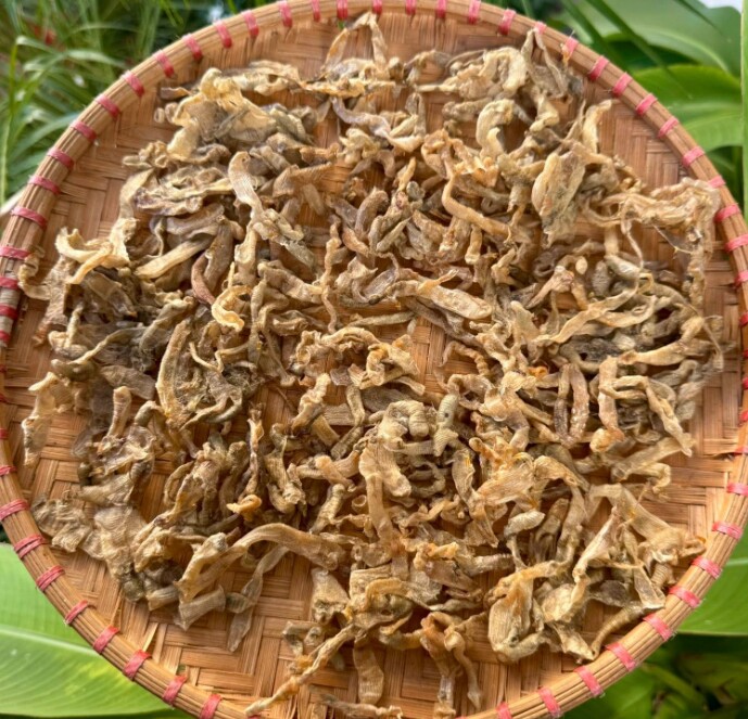 Loài chui lên từ bùn cát nhìn amp;#34;sợ khiếp víaamp;#34;, dân bắt về phơi khô bán 5 triệu đồng/kg, thành đặc sản vừa ngon vừa quý hiếm - 5