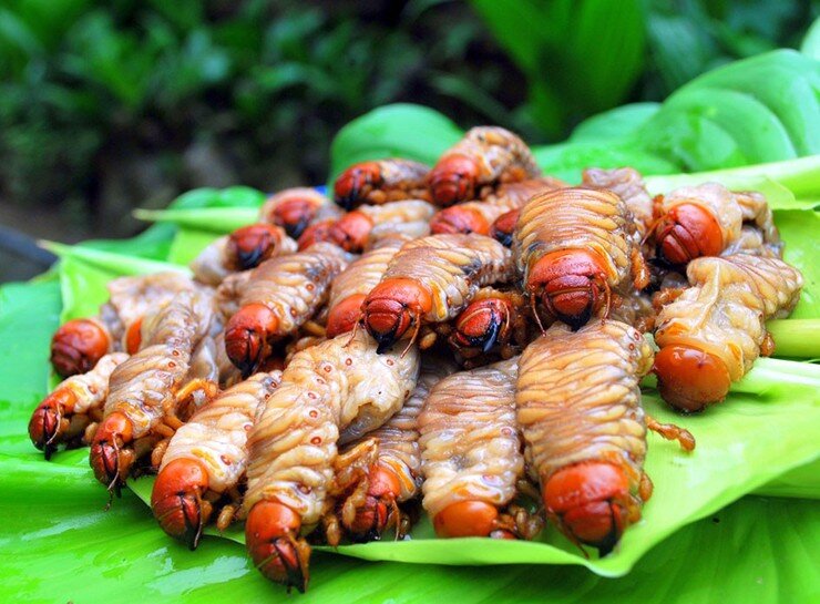 Từ sùng đất có thể làm thành đa dạng món ăn như: sùng chiên giòn, xào lá lốt, nướng than hay hấp sả…