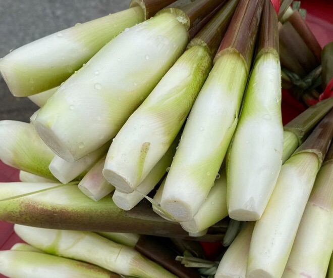 Loại củ được ví như amp;#34;sâm trong nướcamp;#34; xưa mọc dại không ai lấy nay là đặc sản nổi tiếng của Ninh Bình, bán 50.000 đồng/bó - 1