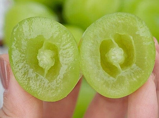 Loại quả đắt đỏ nhất thế giới Việt Nam trồng thành công, 2 năm cho thu hoạch, là đặc sản nổi tiếng 450.000 đồng/kg  - 3