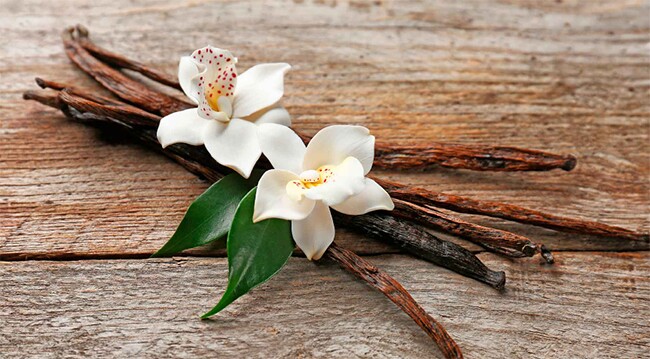 Loại quả đắt đỏ bậc nhất thế giới giá 15 triệu/kg, ở Việt Nam đã trồng thành công, tốt cho sức khỏe - 4