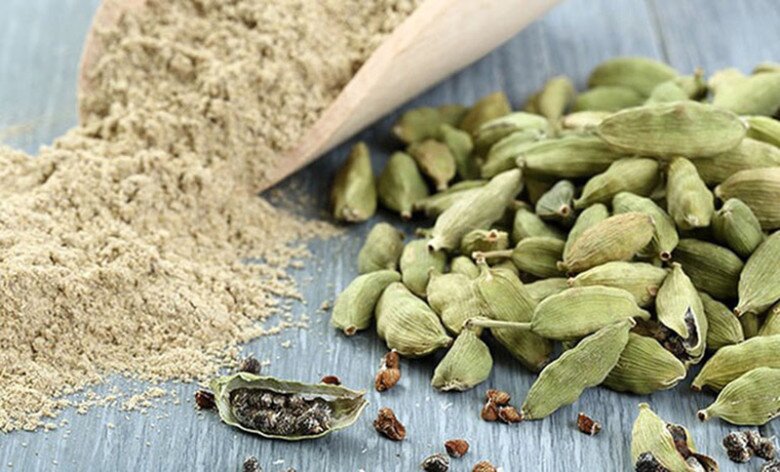 Loại quả đắt đỏ bậc nhất thế giới, Việt Nam trồng bạt ngàn thu hoạch nhiều năm,  thành đặc sản nổi tiếng giá 1,2 triệu/kg - 4