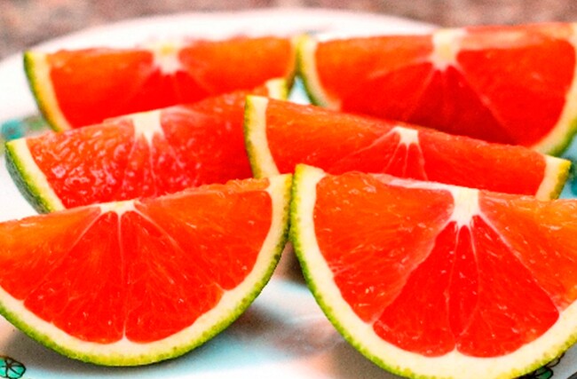 Loại quả đắt đỏ nhất thế giới, Việt Nam trồng bạt ngàn thành đặc sản 120.000 đồng/kg, trồng một lần thu hoạch nhiều năm - 2