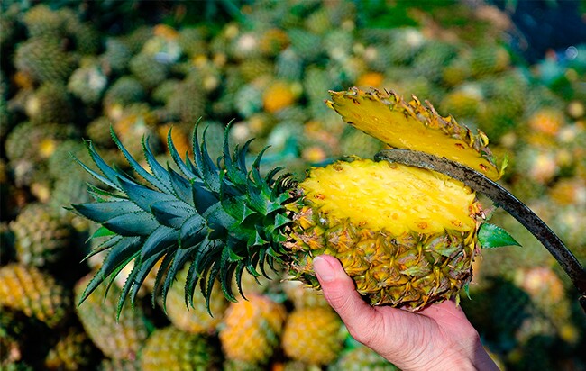 Loại quả amp;#34;tốt nhất thế giớiamp;#34; được trồng bạt ngàn ở Việt Nam, thành đặc sản chỉ từ 11.000 đồng/kg, tốt cho sức khỏe - 2