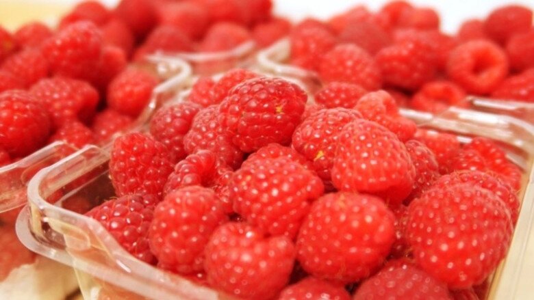 Loại quả amp;#34;tốt nhất thế giớiamp;#34; được trồng bạt ngàn ở Việt Nam, thành đặc sản chỉ từ 70.000 đồng/kg, tốt cho sức khỏe - 3