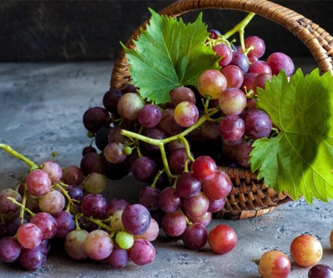 Loại quả amp;#34;tốt nhất thế giớiamp;#34; được trồng đại trà ở Việt Nam, thành đặc sản nổi tiếng chỉ từ 45.000 đồng/kg, tốt cho sức khoẻ - 1