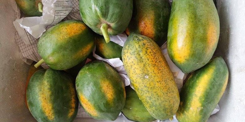 Loại quả amp;#34;tốt nhất thế giớiamp;#34; được trồng bạt ngàn ở Việt Nam, thành đặc sản chỉ từ 15.000/kg, tốt cho sức khoẻ - 3