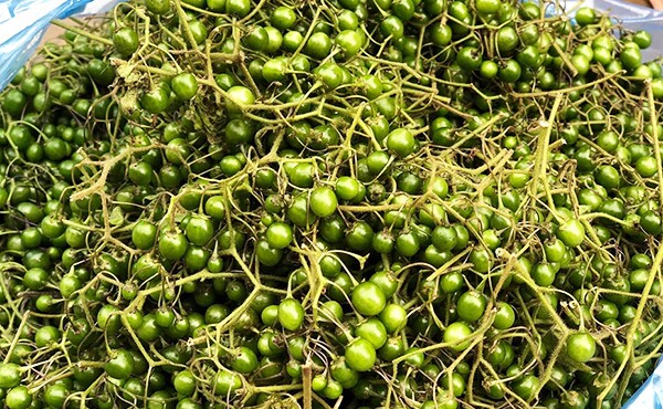 Loại quả xưa chín rụng chỉ dành cho amp;#34;người nghèoamp;#34;,  nay thành đặc sản nổi tiếng được ưa chuộng, 70.000 đồng/kg - 3