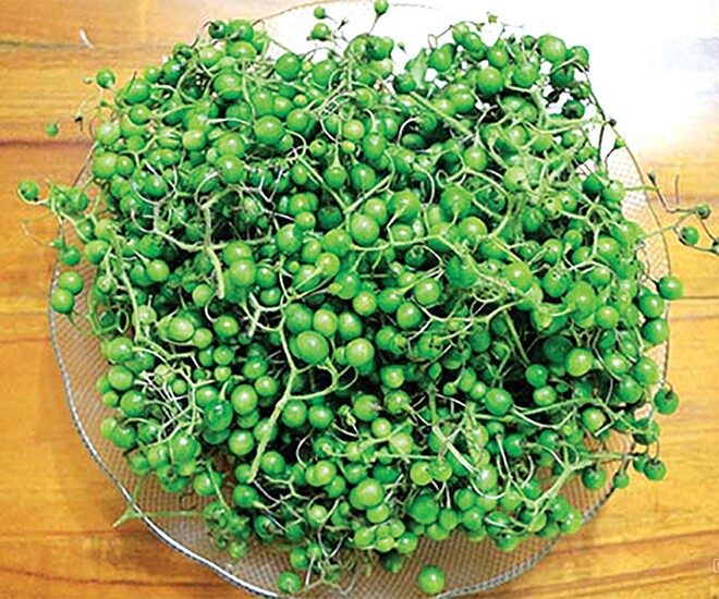 Loại quả xưa chín rụng chỉ dành cho amp;#34;người nghèoamp;#34;,  nay thành đặc sản nổi tiếng được ưa chuộng, 70.000 đồng/kg - 1