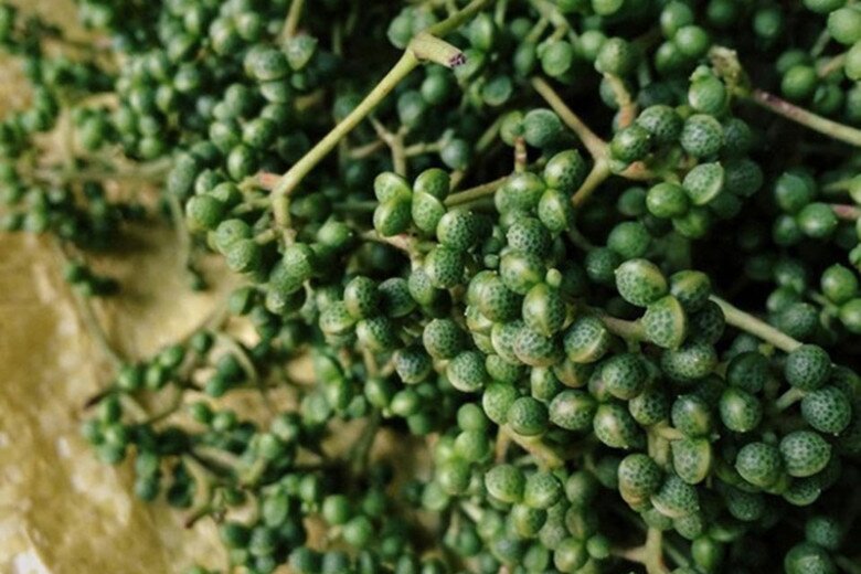 Loại quả xưa chín rụng đầy không ai ngó ngàng, nay thành đặc sản người thành phố ưa chuộng vì có hương vị lạ, 300.000 đồng/kg - 3