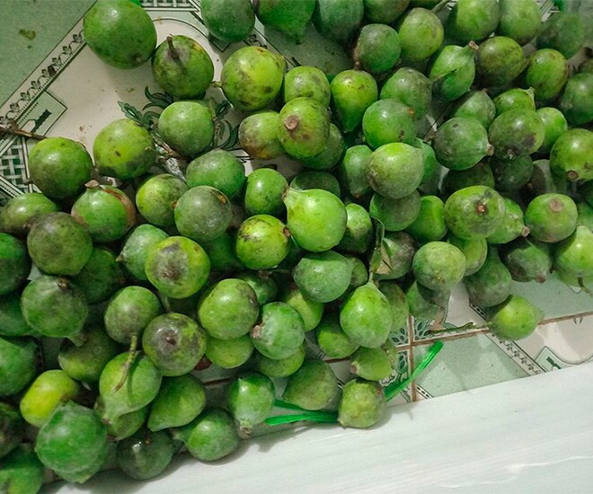 Loại quả xưa chín rụng không ai ngó ngàng, nay thành đặc sản nổi tiếng ở thành phố được ưa chuộng, 60.000 đồng/kg - 1