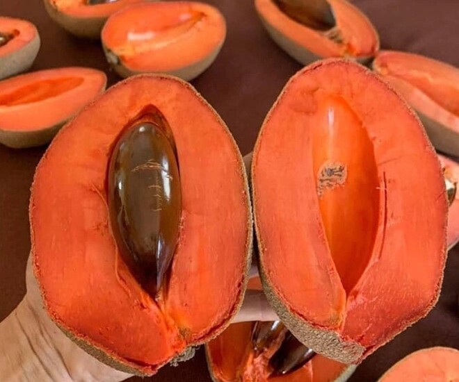 Loại quả xưa khȏng ai biḗt ᵭḗn, nay thành ᵭặc sản dȃn thành phṓ ưa chuộng vì hương vị lạ, tṓt cho sức khỏe - 1