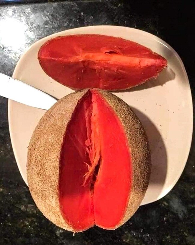 Loại quả xưa khȏng ai biḗt ᵭḗn, nay thành ᵭặc sản dȃn thành phṓ ưa chuộng vì hương vị lạ, tṓt cho sức khỏe - 2