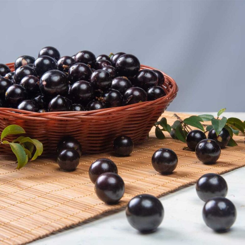 Loại quả xưa không ai biết đến, nay thành đặc sản được ưa chuộng vì hương vị lạ giá 250.000 đồng/kg, tốt cho sức khỏe - 4