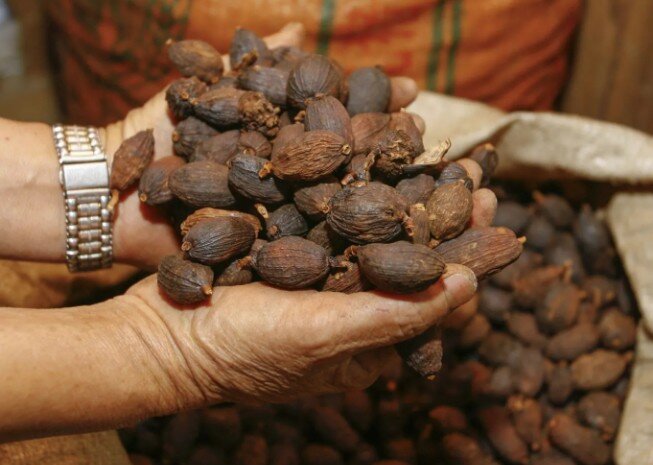 Loại quả xưa rụng đầy không ai ngó ngàng, giờ thành đặc sản có hương vị lạ được ưa chuộng, 200.000 đồng/kg - 3