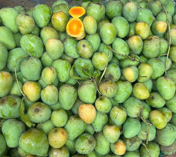 Loại quả xưa rụng đầy amp;#34;người nghèoamp;#34; ăn đến chán ngán, nay thành đặc sản ở thành phố giá 50.000 đồng/kg, tốt cho sức khỏe - 3