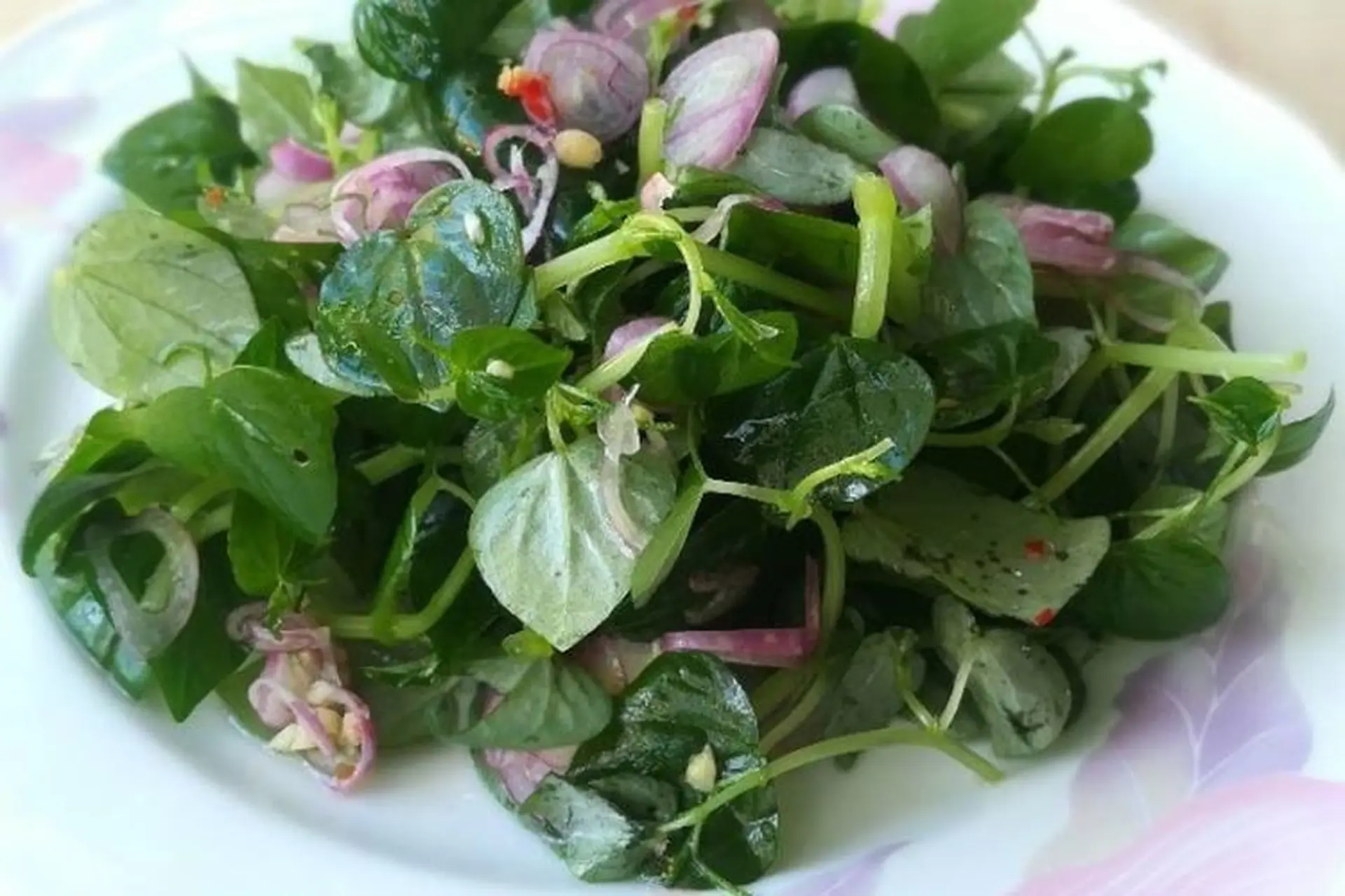 Loại rau thế giới ca tụng là amp;#34;thảo dược quýamp;#34;, ở Việt Nam trồng bạt ngàn thành đặc sản 80.000/kg, chỉ 45 ngày cho thu hoạch  - 3