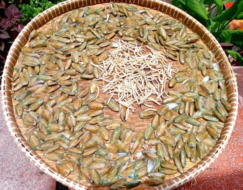 amp;#34;Lộc trờiamp;#34; ẩn trong bùn đất, xưa không ai ngó ngàng nay thành món đặc sản được người thành phố săn lùng, 140.000 đồng/kg - 3