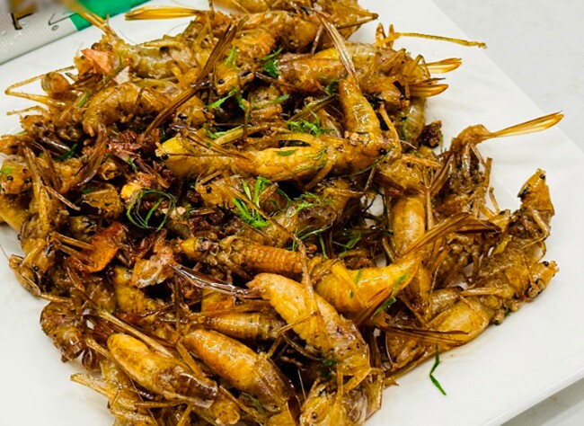 amp;#34;Lộc trờiamp;#34; xuất hiện khi trời tối, dân rọi đèn bắt về bán 400.000 đồng/kg, thành đặc sản lạ được ưa chuộng ở thành phố - 4