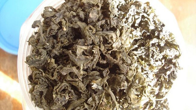 amp;#34;Lộc trờiamp;#34; xuất hiện khi trời mưa, xưa dành cho người nghèo nay thành đặc sản người thành phố ưa chuộng, 100.000 đồng/kg - 3