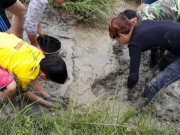 Tiêu dùng - "Lộc trời" ẩn trong bùn đất, xưa không ai ngó ngàng nay phơi khô bán 350.000 đồng/kg thành đặc sản được ưa chuộng